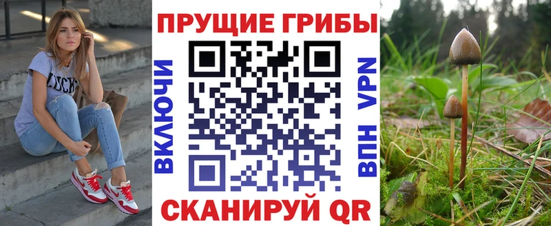 наркошоп  даркнет какой сайт  Псилоцибиновые грибы прущие грибы  Болохово 